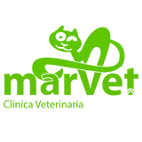 Marvet